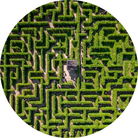 a green hedge maze that represents the different ways you can use test prompts.